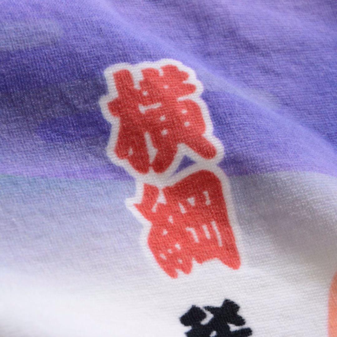 Sumo Wrestler Towel Pile 100% Cotton Yokozuna Hakuho Kisenosato etc Kanji Wall Art Deadstock