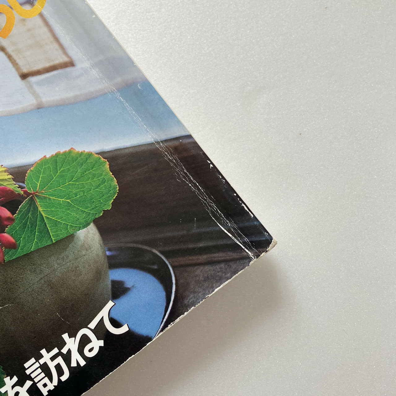 Japanese magazine
