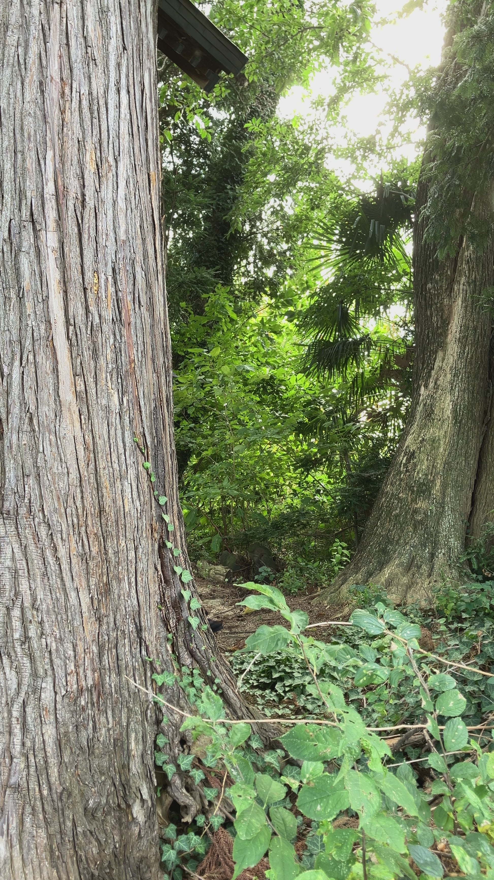 Video of indigo striped Noragi jacket for layering or vintage collection